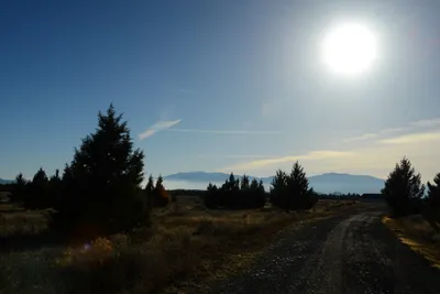 DSC_2976 (Large).JPG